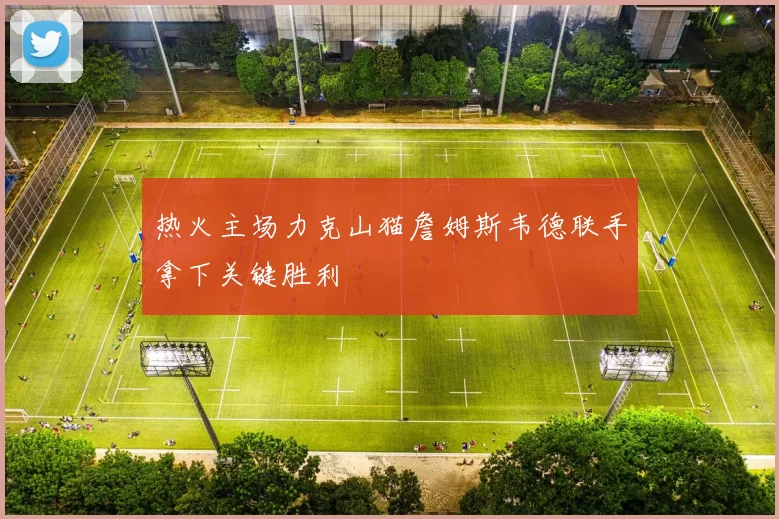 热火主场力克山猫詹姆斯韦德联手拿下关键胜利