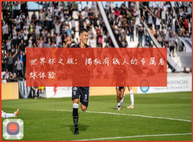 世界杯之旅:揭秘有钱人的专属看球体验