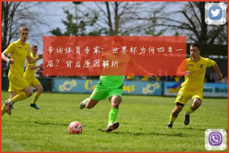 专访体育专家:世界杯为何四年一届?背后原因解析