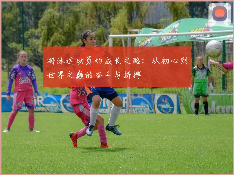 游泳运动员的成长之路:从初心到世界之巅的奋斗与拼搏