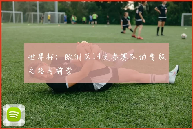 世界杯：欧洲区14支参赛队的晋级之路与前景