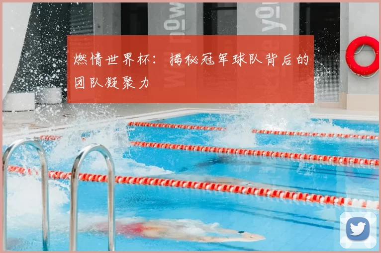 燃情世界杯：揭秘冠军球队背后的团队凝聚力