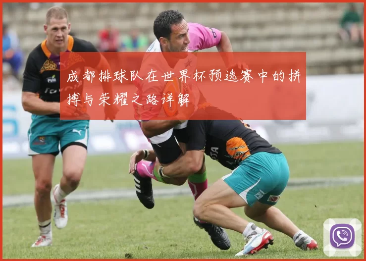 成都排球队在世界杯预选赛中的拼搏与荣耀之路详解