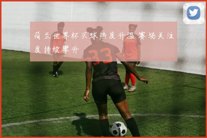 荷兰世界杯买球热度升温 赛场关注度持续攀升