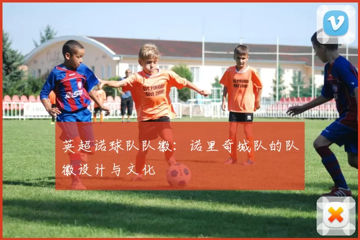 英超诺球队队徽:诺里奇城队的队徽设计与文化