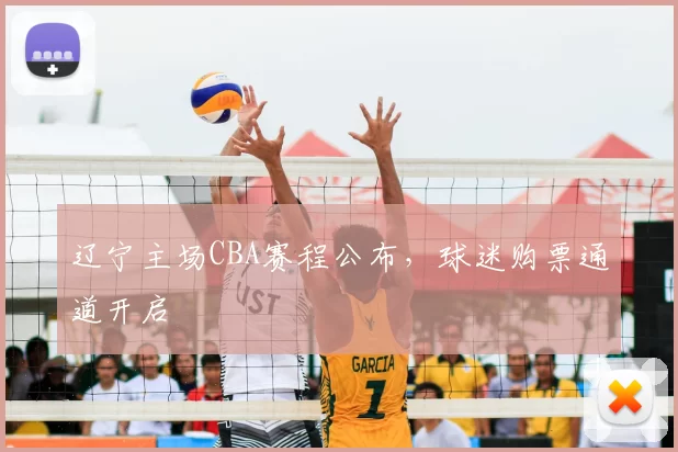 辽宁主场CBA赛程公布,球迷购票通道开启