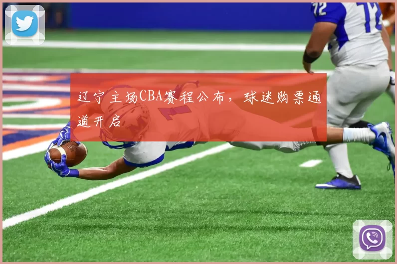 辽宁主场CBA赛程公布，球迷购票通道开启