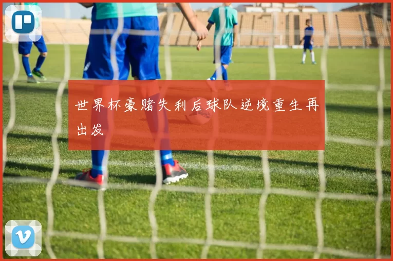 世界杯豪赌失利后球队逆境重生再出发