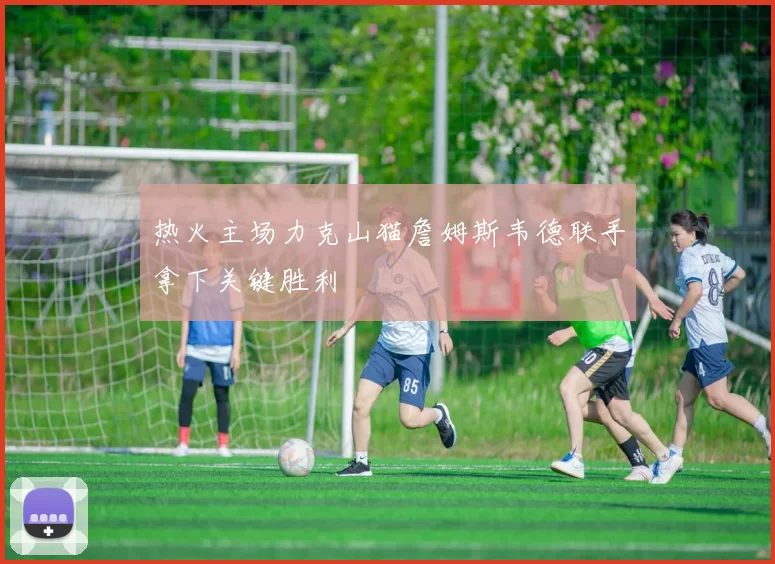 热火主场力克山猫詹姆斯韦德联手拿下关键胜利