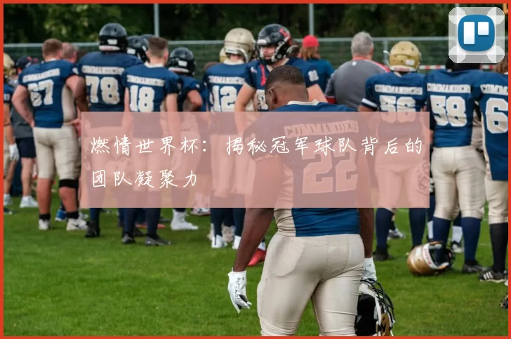 燃情世界杯：揭秘冠军球队背后的团队凝聚力