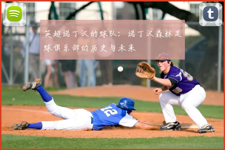 英超诺丁汉的球队:诺丁汉森林足球俱乐部的历史与未来