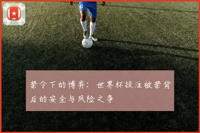 禁令下的博弈:世界杯投注被禁背后的安全与风险之争