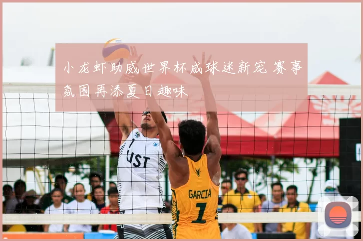 小龙虾助威世界杯成球迷新宠 赛事氛围再添夏日趣味