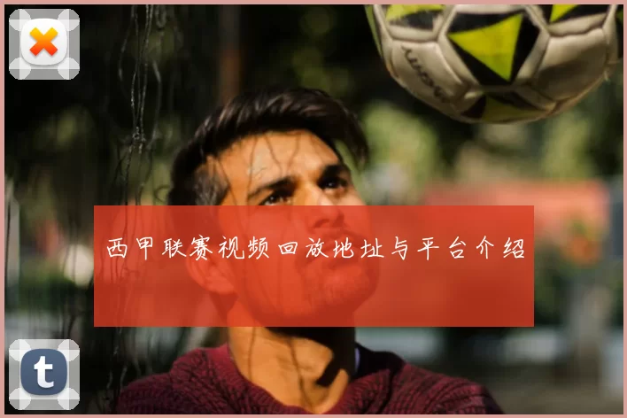 西甲联赛视频回放地址与平台介绍